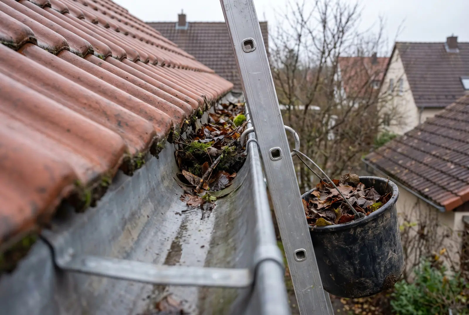 Dachrinne im Spätherbst, teils gereinigt, teils noch voller Laub, mit angelehnter Leiter und Eimer voller Laub
